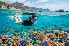 Tour Bình Hưng - Vĩnh Hy 3 ngày 2 đêm