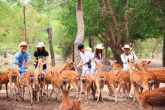 Tour đảo Khỉ - đảo Hoa Lan