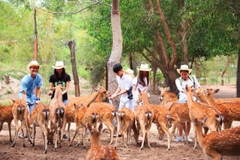 Tour đảo Khỉ - đảo Hoa Lan [Trọn gói - Cao cấp]