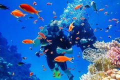 Tour 3 đảo VIP Hòn Tằm - Hòn Mun
