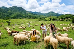Tour du lịch Nha Trang 3 ngày 2 đêm