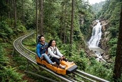 Tour Nha Trang - Đà Lạt 5 ngày 4 đêm