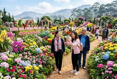 Tour Nha Trang - Đà Lạt 4 ngày 3 đêm