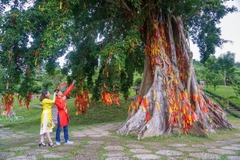 TOUR THÁC YANGBAY