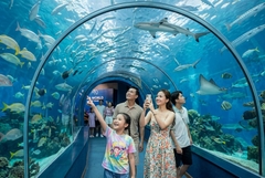 Tour Nha Trang - Đà Lạt 5 ngày 4 đêm