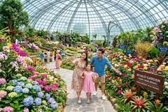 Vé Vinwonders Nha Trang
