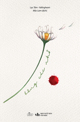 Bông Cúc Nhỏ - Lạc Tâm