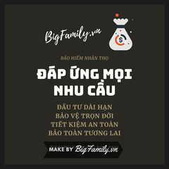 Bộ tranh ý tưởng hay đậm chất bảo hiểm tình yêu và trách nhiệm (kiểu Vintage)