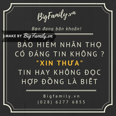 Bộ tranh ý tưởng hay đậm chất bảo hiểm tình yêu và trách nhiệm (kiểu Vintage)