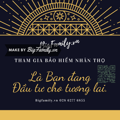 Bộ tranh ý tưởng hay đậm chất bảo hiểm tình yêu và trách nhiệm (kiểu Vintage)