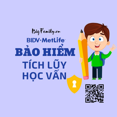 Bộ tranh xây dựng ý tưởng bảo hiểm học vấn của BIDV Metlife