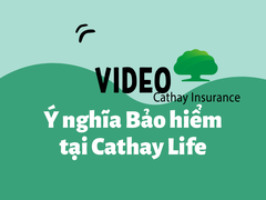 Video Ý nghĩa Bảo hiểm tại Công ty Bảo hiểm Cathay Việt Nam