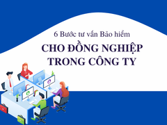 Hướng dẫn tư vấn Bảo hiểm cho đồng nghiệp (Dành cho TVV làm 2 job và đang là nhân viên văn phòng)