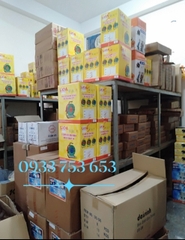 Biến Áp Lioa DN 2000VA