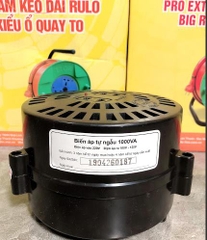 Biến Áp Lioa DN 1000VA