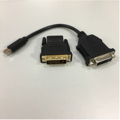 Cáp Chuyển Đổi Tín Hiệu Mini DisplayPort to DVI-D Dual Link Adapter Cable PNY 91008580 B DJ802D-1000-10H Và DVI D Male to HDMI Female Length 22Cm