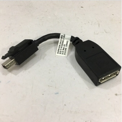 Cáp Chuyển Đổi Tín Hiệu NVIDIA 030-0415-000 Mini DisplayPort Male to DisplayPort Female Adapter Cable Length 11Cm