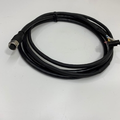 Cáp M12 12 Pin Female ESCHA Power Cable to 18 Pin Dài 2.5M 8ft Part Number: AL-WAKSE12.024-5/S3909 8062493 2263/4100064 Cable Original in Korea