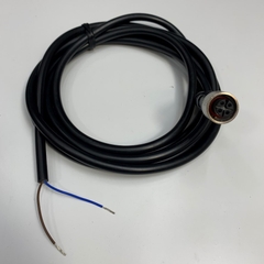 Cáp 2M 6.5ft CS-A1-02-G-03 SANIL Cable Connector M12 A-Code 4 Pin Female to 2 Core Open End Circular Sensor Waterproof Cable E206407 24AWG 80C 300V ILSHIN OD 6.0mm