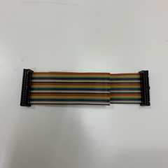 Cáp Bẹ Nhiều Mầu IDC Rainbow Wire Flat Ribbon Cable 30 Pin Connector Type A FC/FC Connector 2.54mm Pitch Dài 0.3M