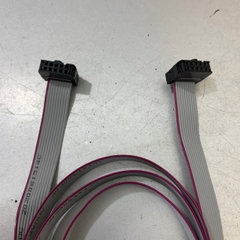 Cáp Kết Nối IDC 10 Pin Flat Ribbon Cable Female to Female 2.54mm With 2 Connectors Length 1M