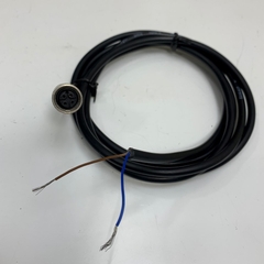 Cáp Điều Khiển Cable M12 A-Code 4 Pin Female to 2 Core Bare Wire Open Dài 2 Meter 6.5ft End For Sensor Actuator Connector