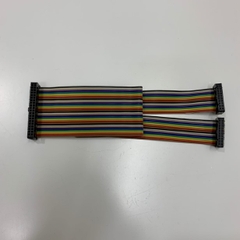 Cáp Điều Khiển Flat Ribbon Rainbow Cable IDC 40 Pin 2.54mm to Y Splitter 2 IDC Flat Ribbon 20 Pin Length 0.3M