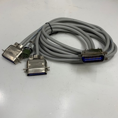 Cáp 2M 6.5ft Centronics 24 Pin Male to 2 Port Dual Centronics 24 Pin Male 2 Rows 2.16mm Pitch + 1 Port SANWA 41-6590 4 Pin Female Y-Splitter Cable