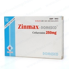 Zinmax Domesco 250Mg