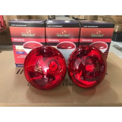 Đèn Hồng Ngoại TNE 250