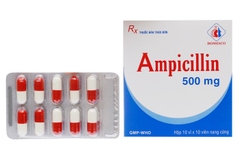 Ampicillin 500Mg Domesco