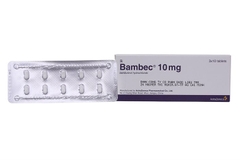 Bambec 10