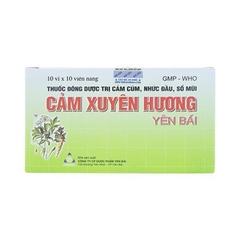 Cảm Xuyên Hương 10X10 Yên Bái