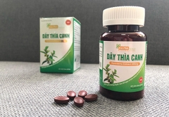 Dây Thìa Canh  lọ 60 viên