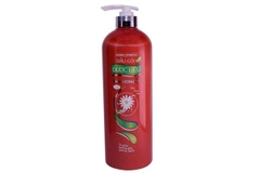 Dầu gội dược liệu Thái Dương 3