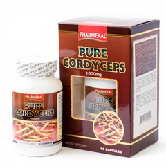 Đông Trùng Hạ Thảo Pure Cordyceps PHARMEKAL