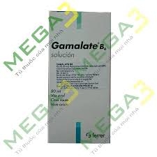 Gamalate B6 lọ 80 ml