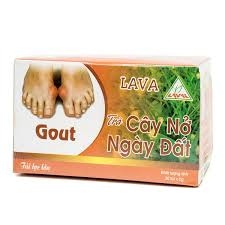 Trà Cây Nở Ngày Đất Lava Hỗ Trợ Điều Trị Bệnh Gout 30 Túi