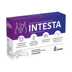 Intesta