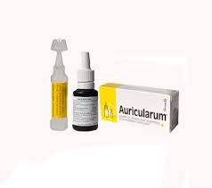 Auricularum