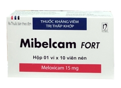 Mibelcam Fort