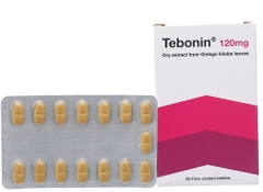 TEBONIN 120MG