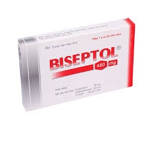 Biseptol 480mg