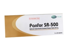 Panfor Sr 500