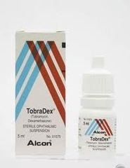 Thuốc Tobradex 5ml