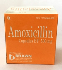 amoxicillin 500mg braww hộp 100 viên