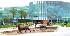 University of South Florida - Trường tại Mỹ.