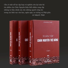 Toàn tập Chân Nguyên Tuệ Đăng (Bộ 3 quyển) - Lê Mạnh Thát