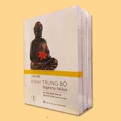 Toát Yếu Kinh Trung Bộ - HT. Thích Minh Châu dịch - Ni sư Trí Hải chú giải (Trọn bộ 3 tập)