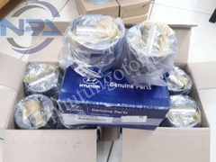 Pittong máy Hyundai Solati | 234104A975